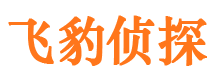 弓长岭侦探调查公司